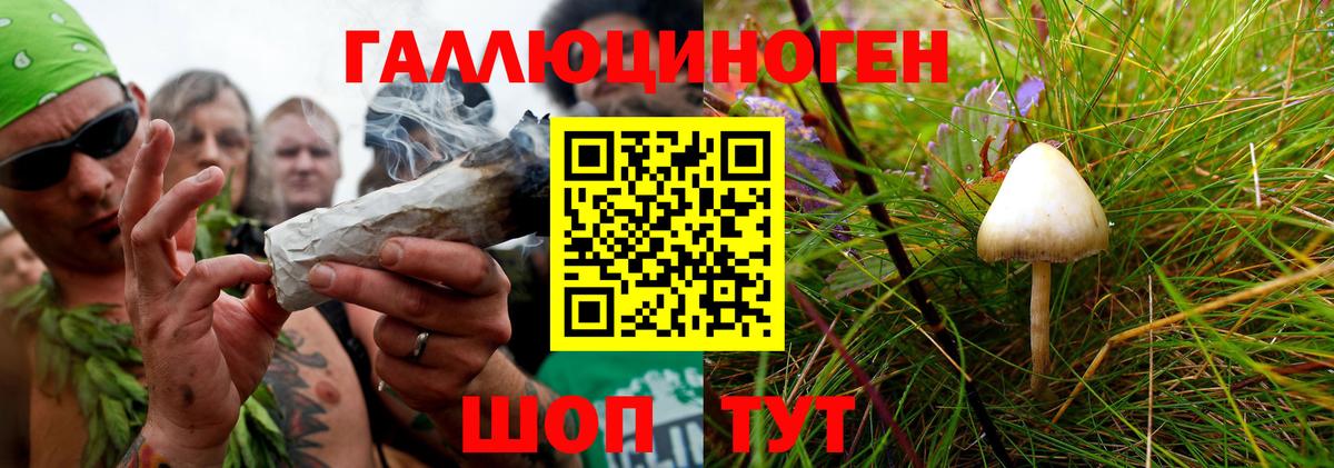 Якутск  Галлюциногенные грибы ЛСД  где найти наркотики  Вход с VPN 